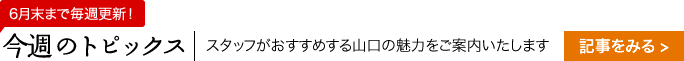 今週のトピックス（6月末まで毎週更新！）：スタッフがおすすめする山口の魅力をご案内いたします