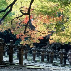 東光寺